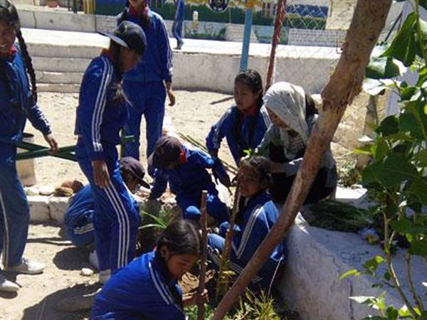 Plantation Drive