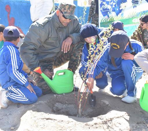 Tree plantation drive