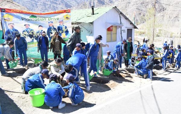 Tree plantation drive