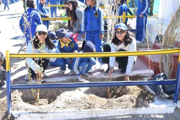Tree plantation drive