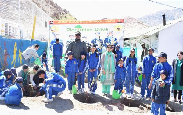 Tree plantation drive